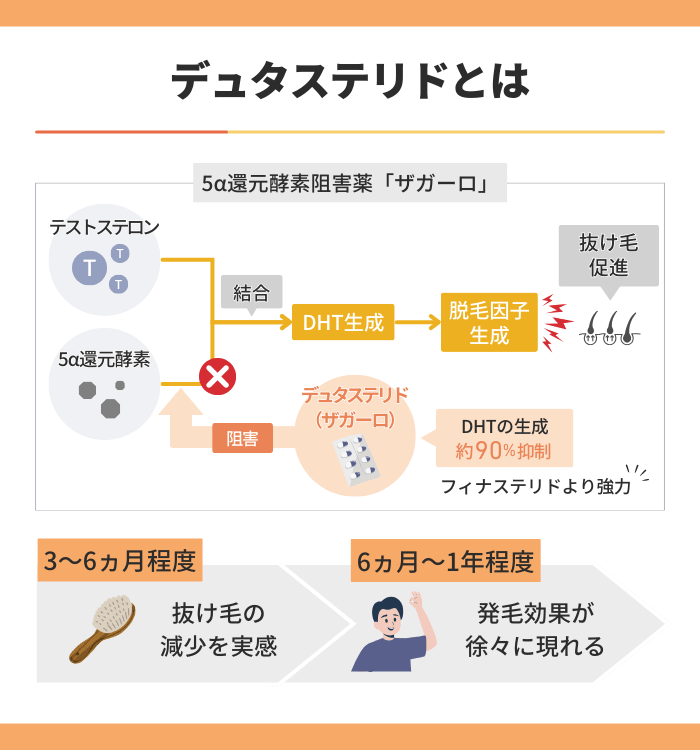 デュタステリドとは?AGA治療薬としての効果と仕組み