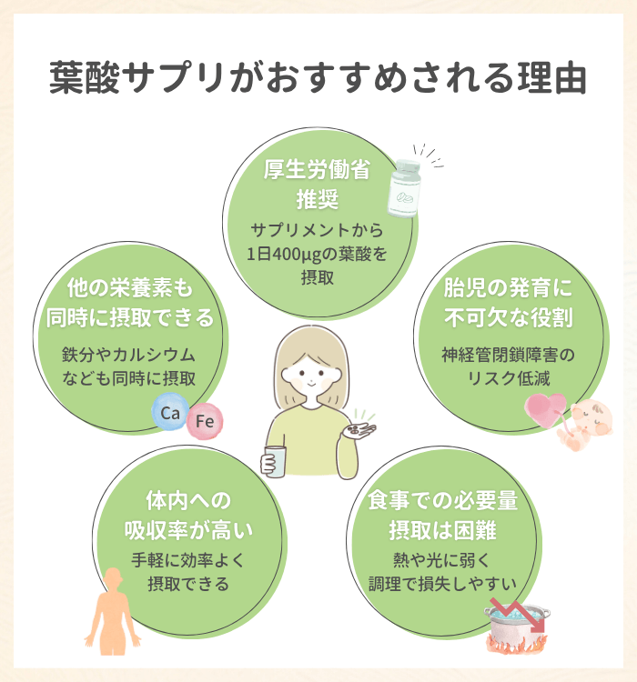 葉酸サプリがおすすめされる理由