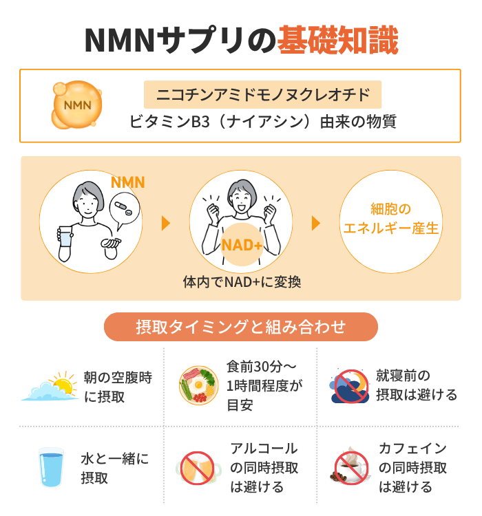 NMNサプリの基礎知識